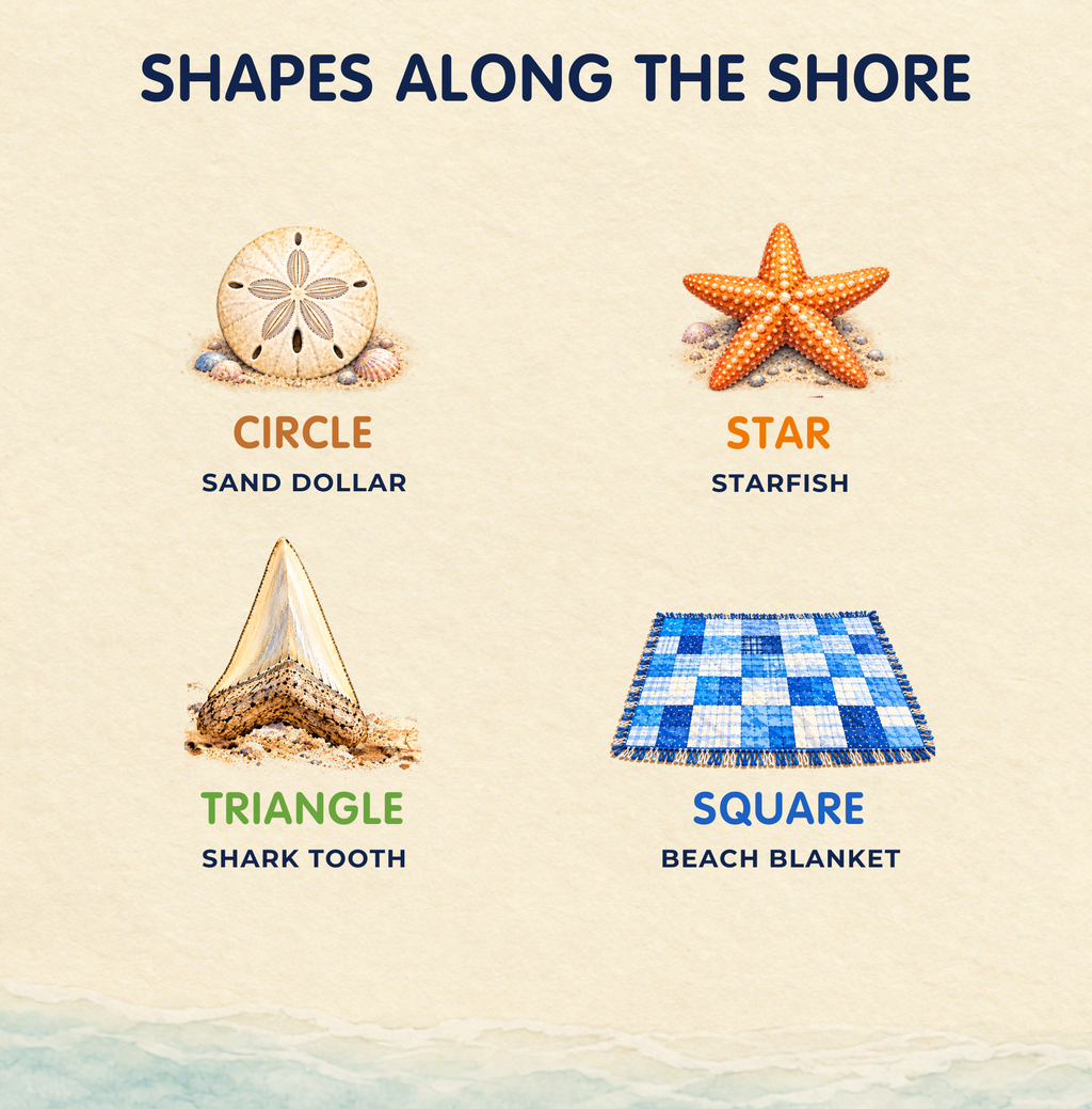 Shape examples: circle sand dollar, starfish, triangle shark tooth, and square beach blanket.