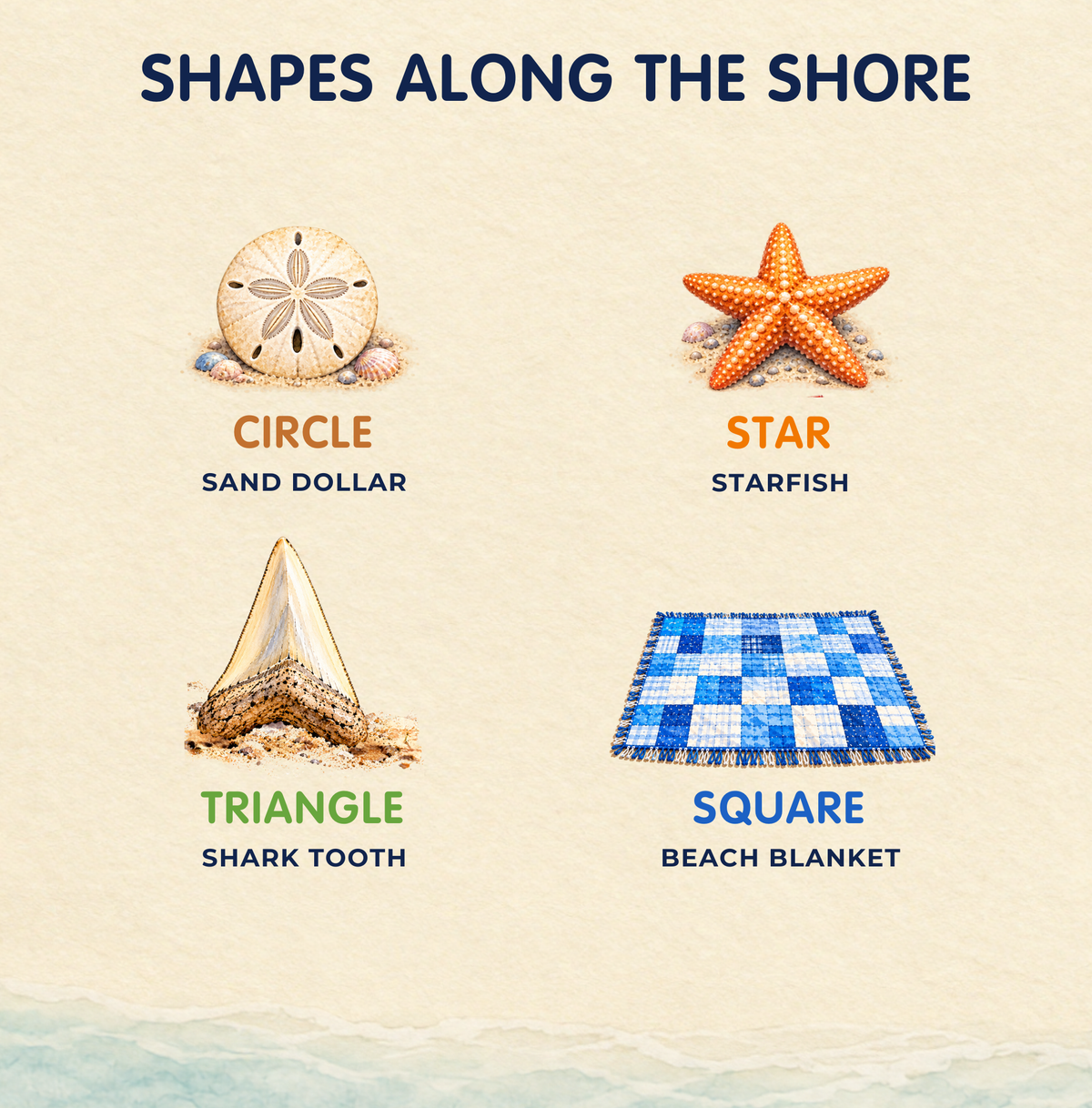Shape examples: circle sand dollar, starfish, triangle shark tooth, and square beach blanket.